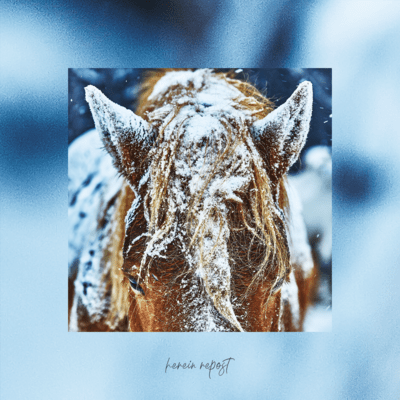 herein repost (Remix)のジャケット写真