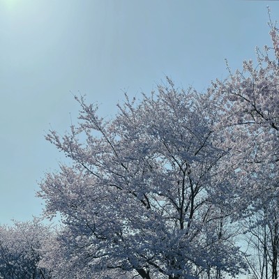 サヨナラの先へのジャケット写真