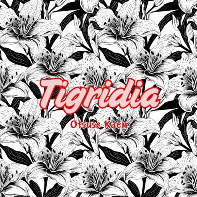 Tigridia Front Cover
