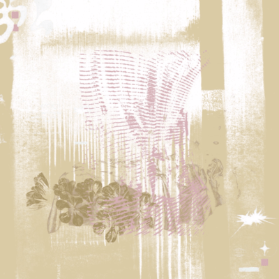 Where light blooms Front Cover