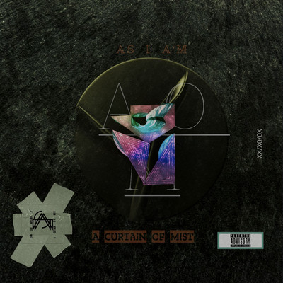 AS I AMのジャケット写真