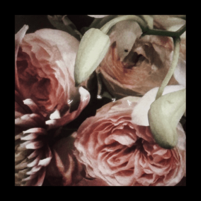 silhouette Front Cover