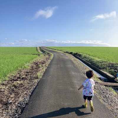 メランコリーのジャケット写真