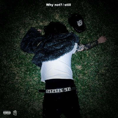 Why not? / stillのジャケット写真