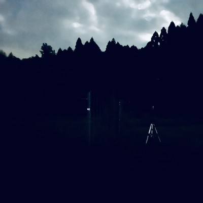 Natural Sound - Mizunami - Autumn Insects 04 (Normal Stereo) Front Cover