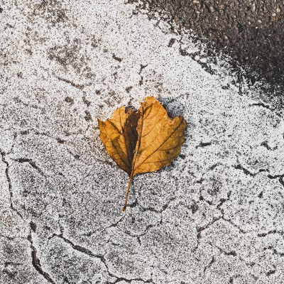 I Can See Your Mindのジャケット写真