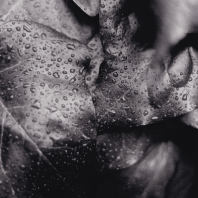 siren (feat. hyunis1000)のジャケット写真