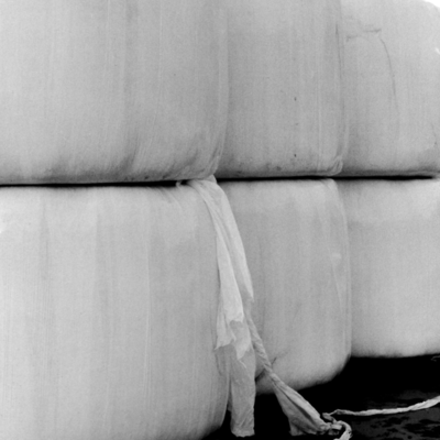 iridescent Front Cover