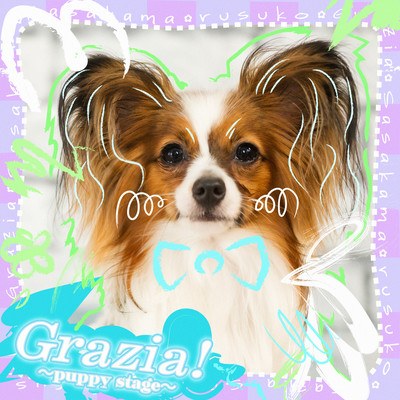 Grazia! ~puppy stage~ Front Cover