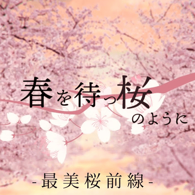 Haruwomatsu sakura no yō ni Front Cover