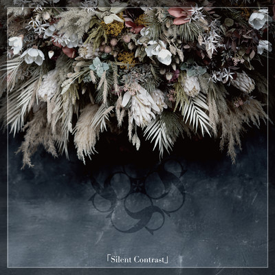 Silent Contrast Front Cover