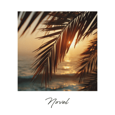Novelのジャケット写真