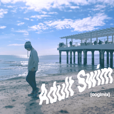 Adult Swim Front Cover