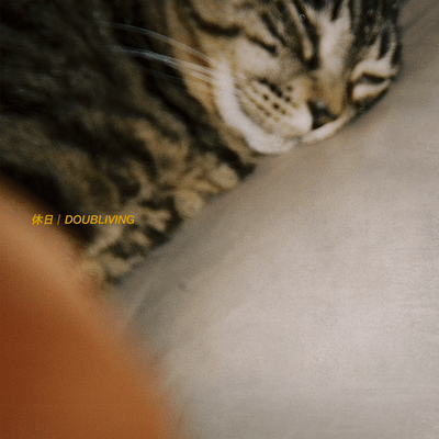 休日のジャケット写真