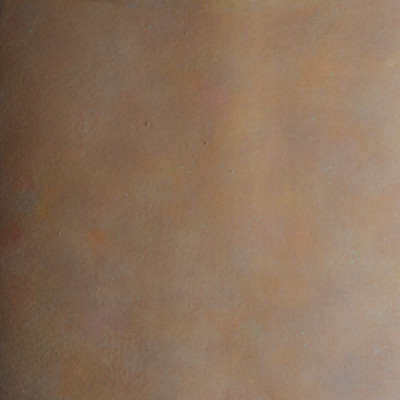 Secure Front Cover