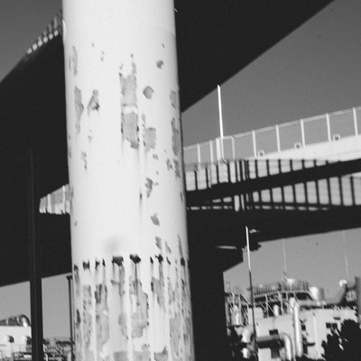 Route 246 Front Cover