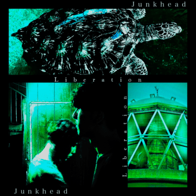 Liberationのジャケット写真