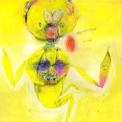 idola Front Cover