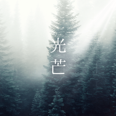 Rays of light Front Cover