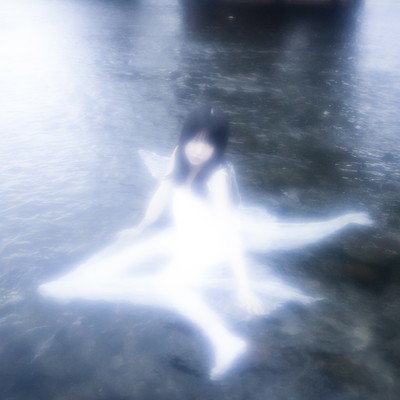 gray swan Front Cover