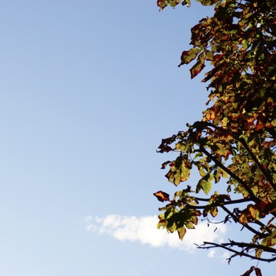 anata wo omou tabi Front Cover