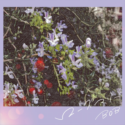 Rosemary (feat. MELOFLOAT, Tsukasa Morimoto & SHUTO MIYAZAKI) Front Cover