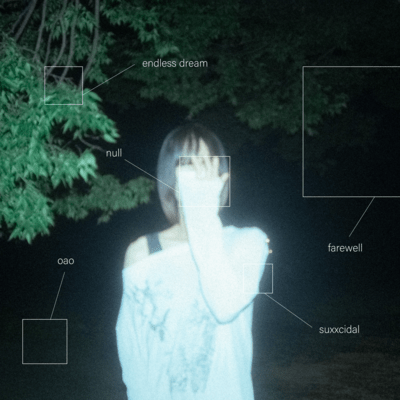 nullのジャケット写真