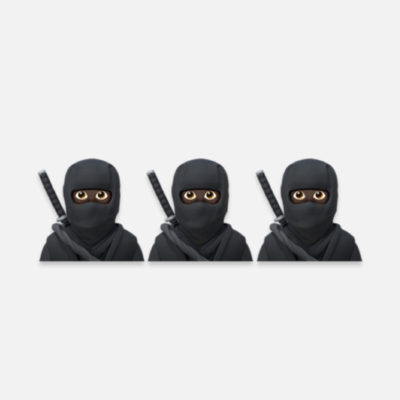 Ninja Front Cover