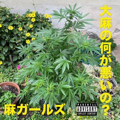 大麻の何が悪いの?のジャケット写真