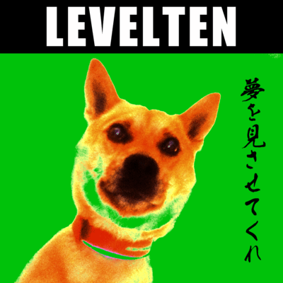 夢を見させてくれのジャケット写真