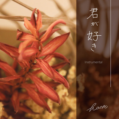 君が好き (Instrumental)のジャケット写真