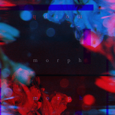 morphのジャケット写真