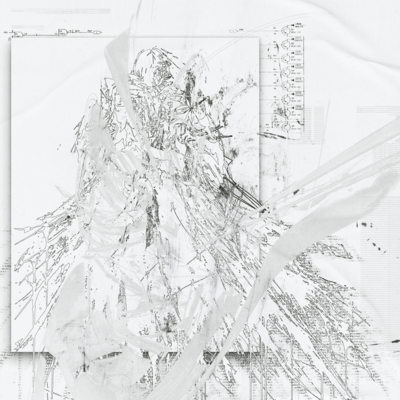 Wraith (feat. irukaheaven) Front Cover