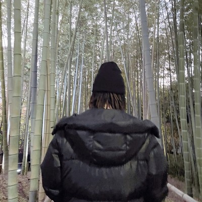 labyrinth Front Cover