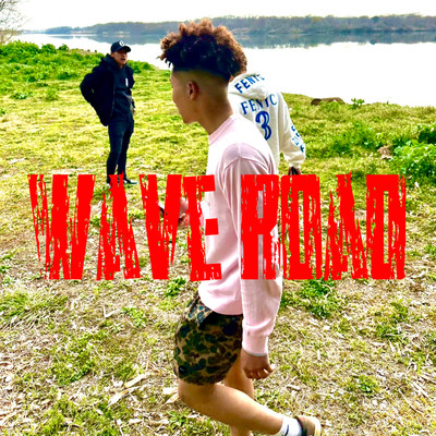 WaveroaDのジャケット写真