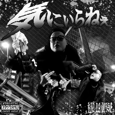 気にいらねぇのジャケット写真