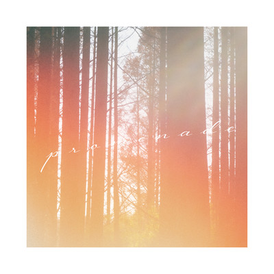 プロムナード (feat. トキトウメイ。)のジャケット写真