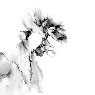 portrait Front Cover