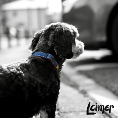 MONOKURONNRINESU Front Cover