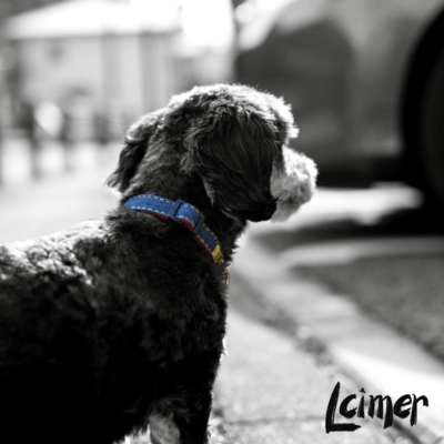 MONOKURONNRINESU Front Cover