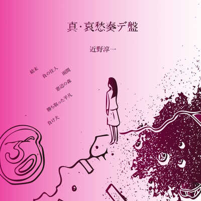 真・哀愁奏デ盤のジャケット写真