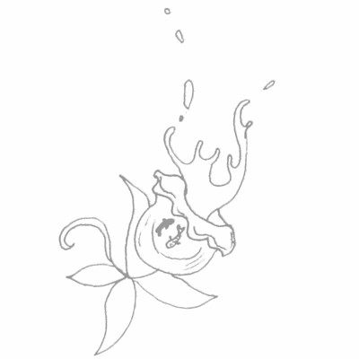 SHIROIKINGYO Front Cover