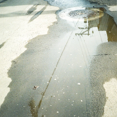 風の虫のジャケット写真