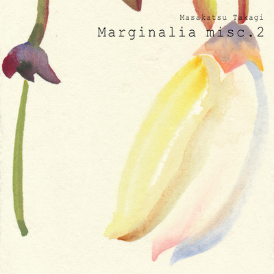 Marginalia misc.2のジャケット写真
