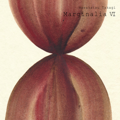 Marginalia VI Front Cover