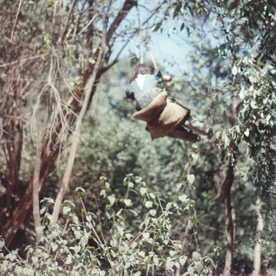 Opus Pia Front Cover