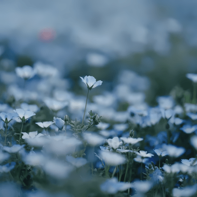 Kool-Aid (feat. Mai & MYK-IV) Front Cover