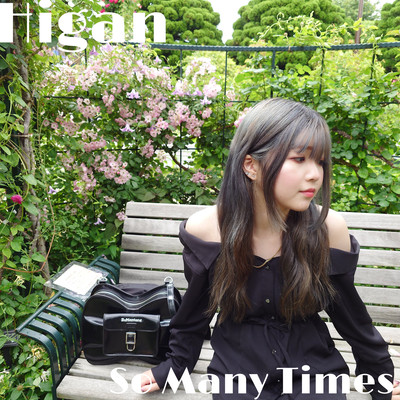 So Many Times Front Cover