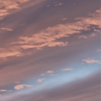 空を飛ぶ魚、それも現実 (feat. 歌愛ユキ & 中国うさぎ)のジャケット写真