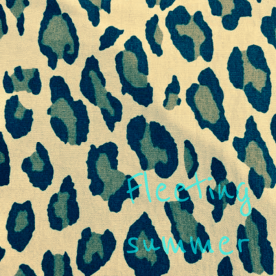 Fleeting summer Front Cover